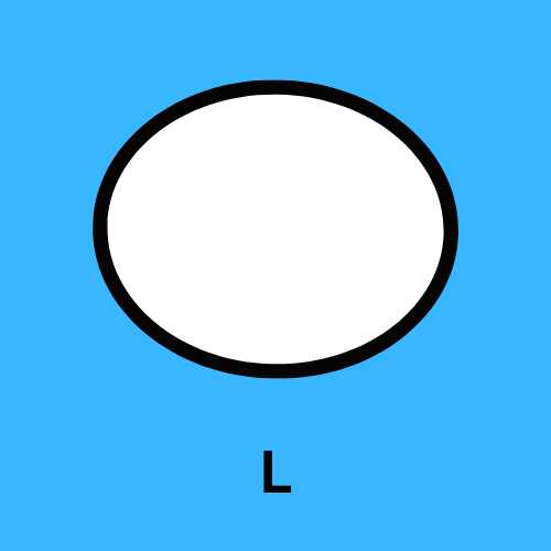 L